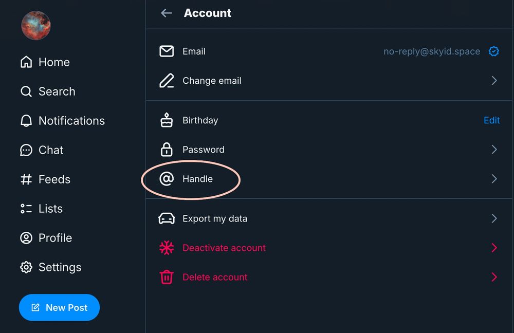 Bluesky Account settings menup with "@ Handle" circled