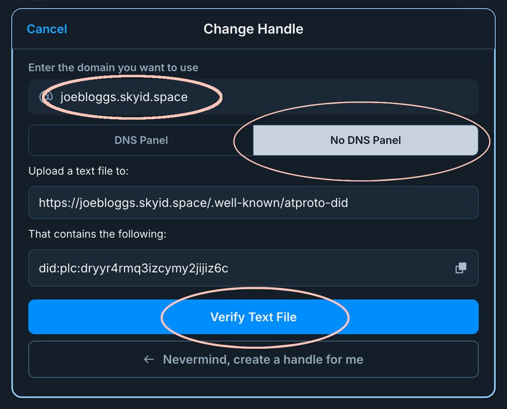 Bluesky Change Handle dialog with @joebloggs.skyid.space entered as the domain to use, "No DNS Panel" circled, and "Verify Text File" circled