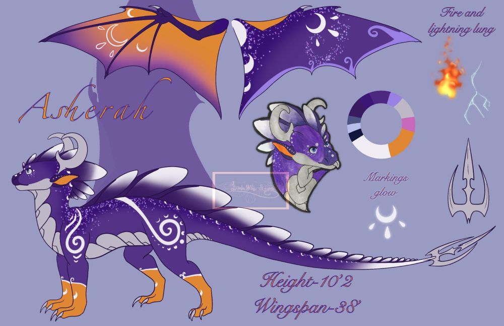 A reference sheet depicting the design of a purple dragon with white spots and stripes as well as silver chest plates and moon shaped horns. It's inner wings and lower legs are orange while the fins on its head neck and back are purple gradient to white. With a silver trident like tail
