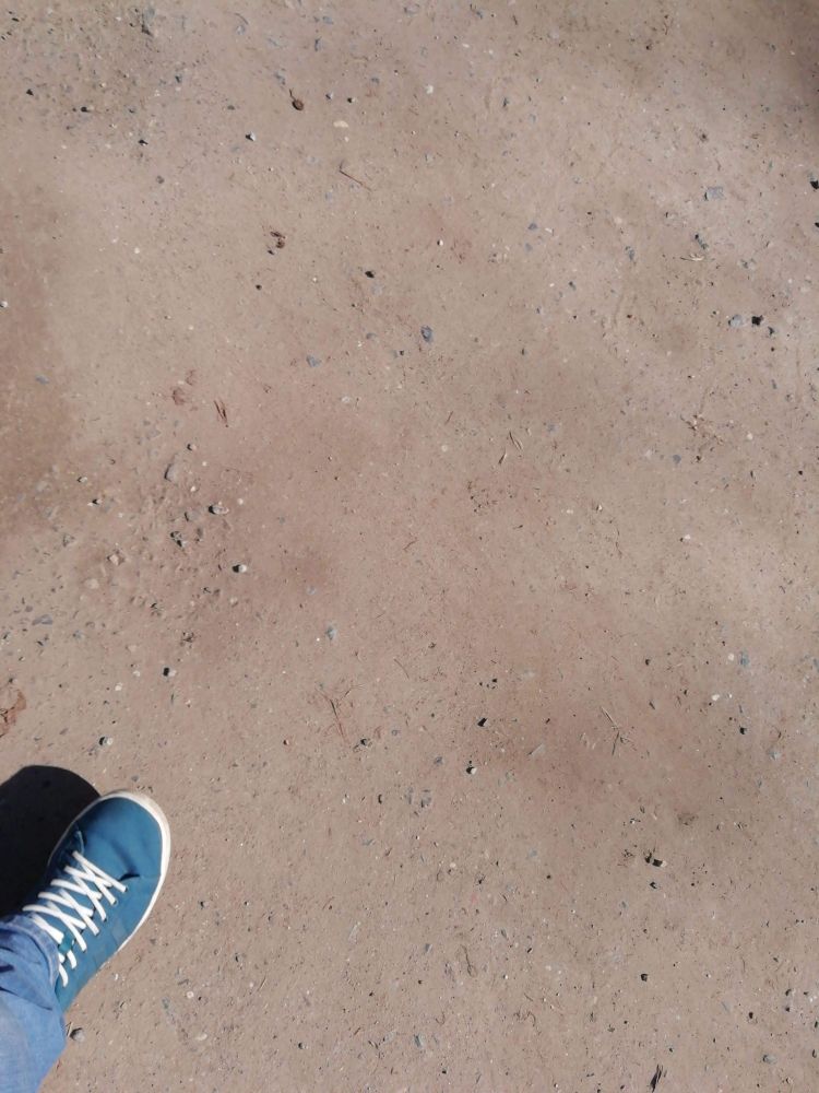 Ein Fuß im Schuh, einsam in der linken unten Ecke des Bildes. Der Rest ist Sand und Schotte im Tierpark Anholter Schweiz.