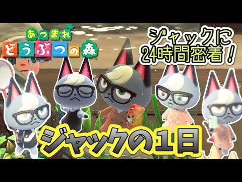 【あつ森】ジャックの1日！24時間密着してみたらイケメンすぎた【あつまれどうぶつの森】【Animal Crossing】