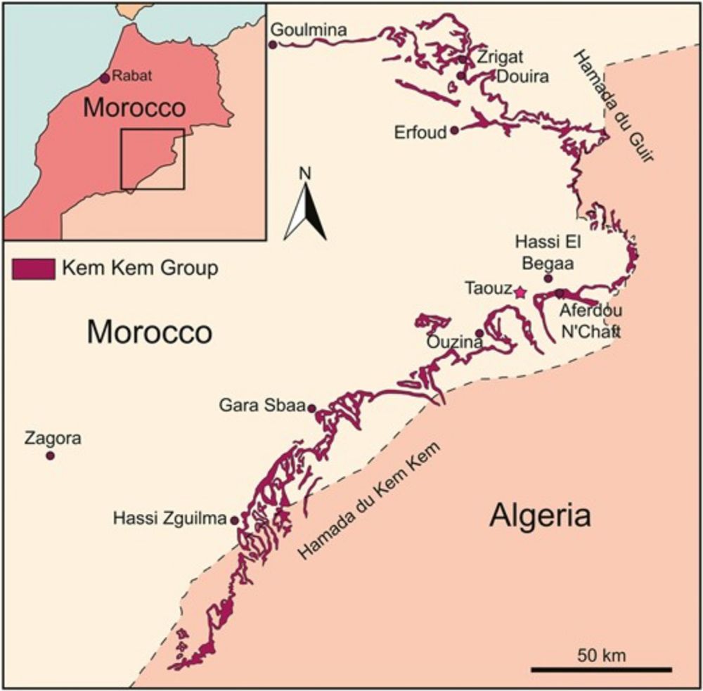 New theropod dinosaur remains from the Upper Cretaceous of the Kem Kem Group (Eastern Morocco) clarify spinosaurid morphology