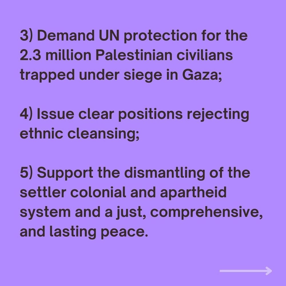 3. Demand UN protection for the 2.3 million Palestinian civilians trapped under siege in Gaza 

4. Issue clear positions rejecting any ethnic cleansing 

5. Support in dismantling the settler colonial and apartheid system and to achieve and a just, comprehensive, and lasting peace.