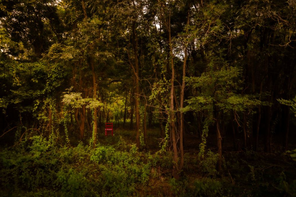 A photograph of a red chair in a pocket of sunlight in a dense forest in Louisiana.