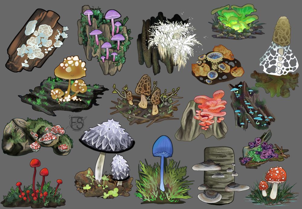 Just for fun mushroom studies