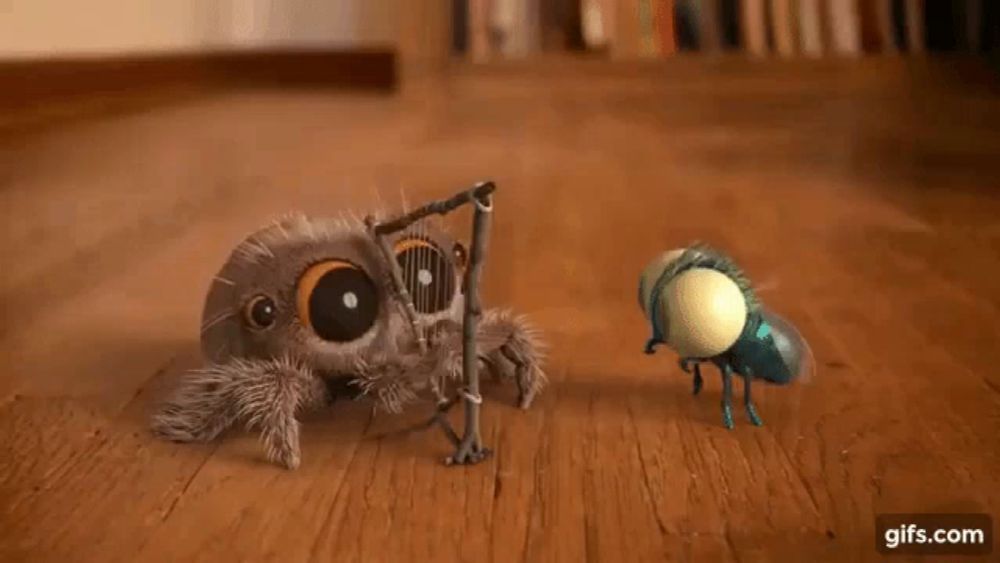 a spider is sitting on a wooden floor next to a fly .