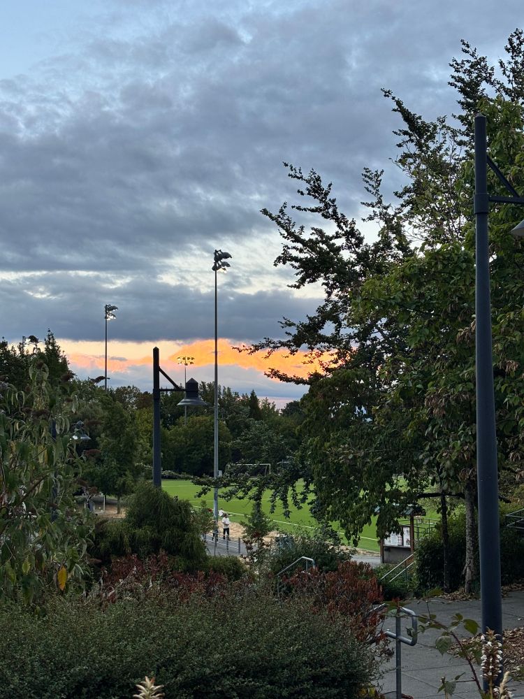 Photo of a park with a mostly cloudy sky. There is a sliver of orange able to be seen in between the clouds, indicating that the sun is setting.
