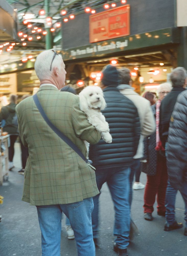People walking around Borough Market. Including a man with a tweed coat carrying a dog.