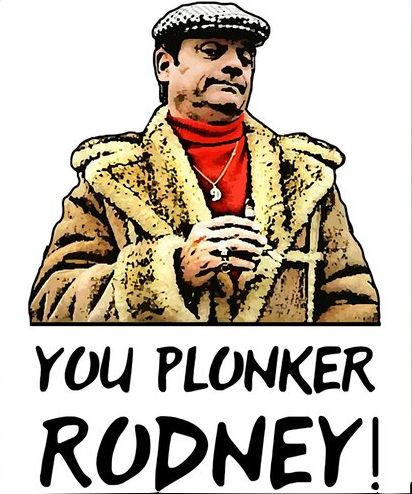 Derek Trotter (aka Del-Boy) saying, "You plonker, Rodney!"