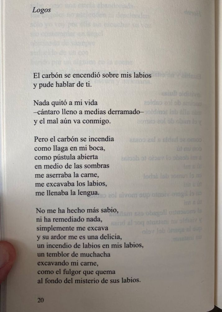 Poema “Logos” de Javier Sicilia
