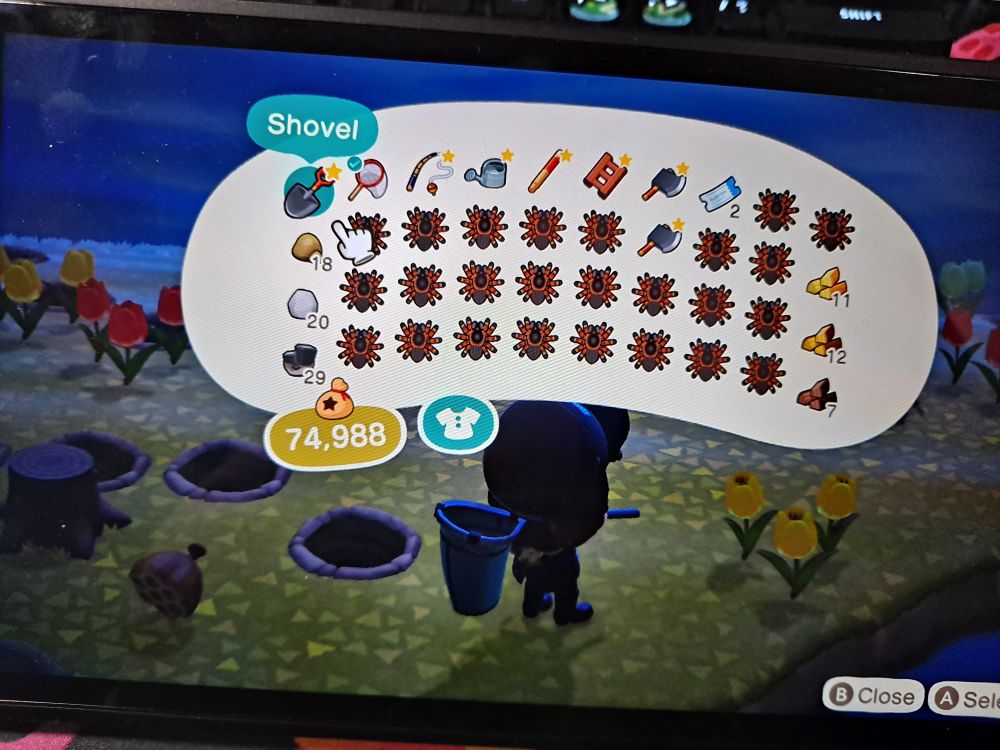 Another animal crossing screenshot. My inventory has 25 tarantulas.