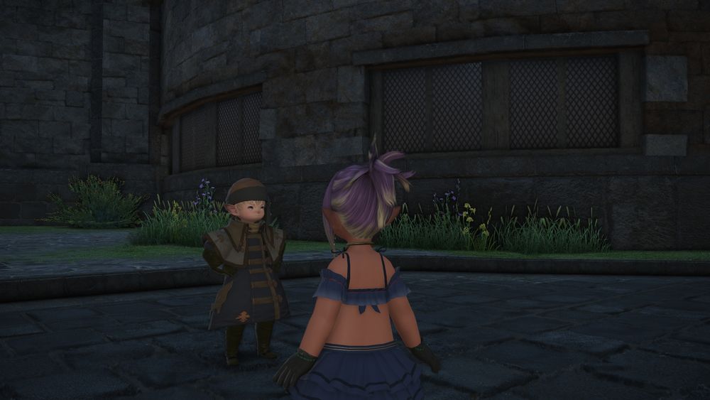 picture from behind vessaia, staring at another lalafell.