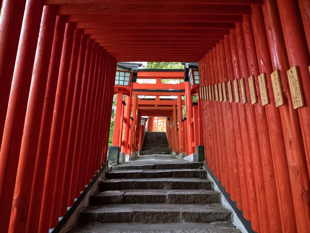 Taikodani Inari Shrine, located in Tsuwano city, on the western side of Shimane Prefecture, is one of the five most important Inari shrines in Japan. In 1773, the 7th feudal lord, Lord Norisada Kamei, invited the deity’s spirit from Fushimi Inari Shrine in Kyoto and built the shrine on the top of Taikodani, facing kimon (the north-eastern direction) of Tsuwano Castle to pray for peace and security of the castle as well as for the happiness for Tsuwano’s citizens.⁣
⁣⁣
⁣#inari #shrine #shimane @discover.shimane #discovershimane #Japan #Travel #Historical #TravelPic #JapanTrip #Nippon #TravelPhotos #Cultural #IGersJapan #Nihon #JapanFocus #iLoveJapan #JapanTravel #JapanLife #ExploreJapan #LoveJapan #CoolJapan #TravelJapan #JapanTour #VisitJapan #JapanLover #DiscoverJapan #JapanCulture #OffTheBeatenPath⁣
⁣
Photo taken at these geographical coordinates: geo:34.465305,131.7689336