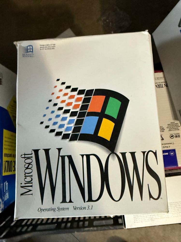 Windows 3.1 for DOS box.