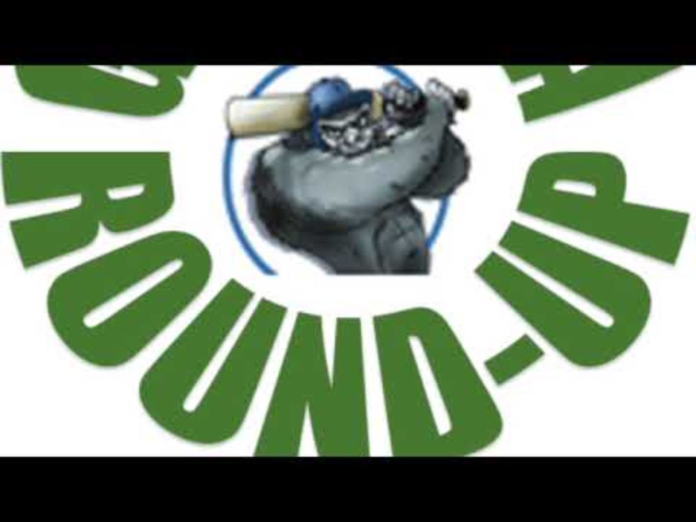 Guerilla Roundup NZvEng Test 1 Day 3, 30 Nov 2024