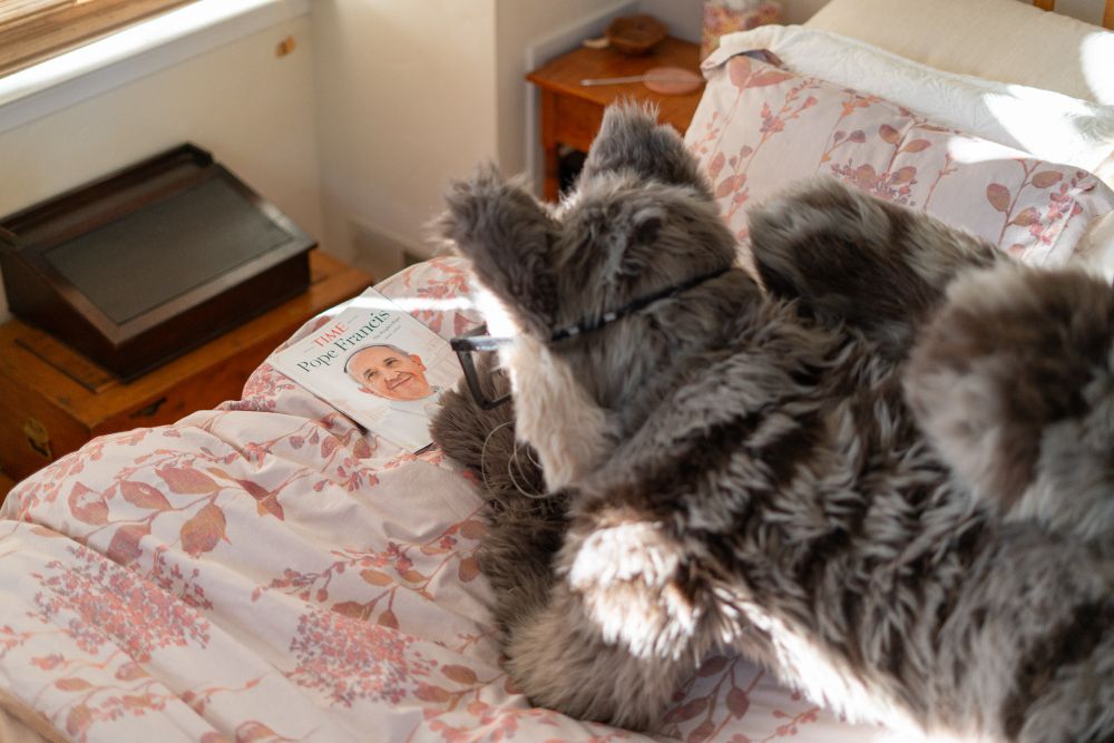 me reading Time in fursuit on the bed about the pope