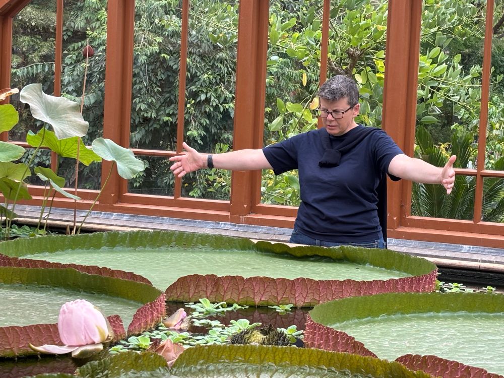 An adult with arms outstretched is pictured beside a massive lily pad, one that measures maybe 5 feet across. 