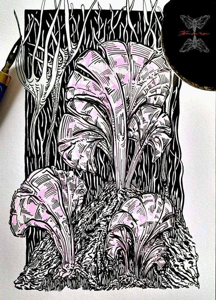 Dessin à l'encre de Chine représentant   des plantes aquatiques. À l'arrière-plan des algues sur fond noir. Porte-plume et godet d'encre posés à côté. 