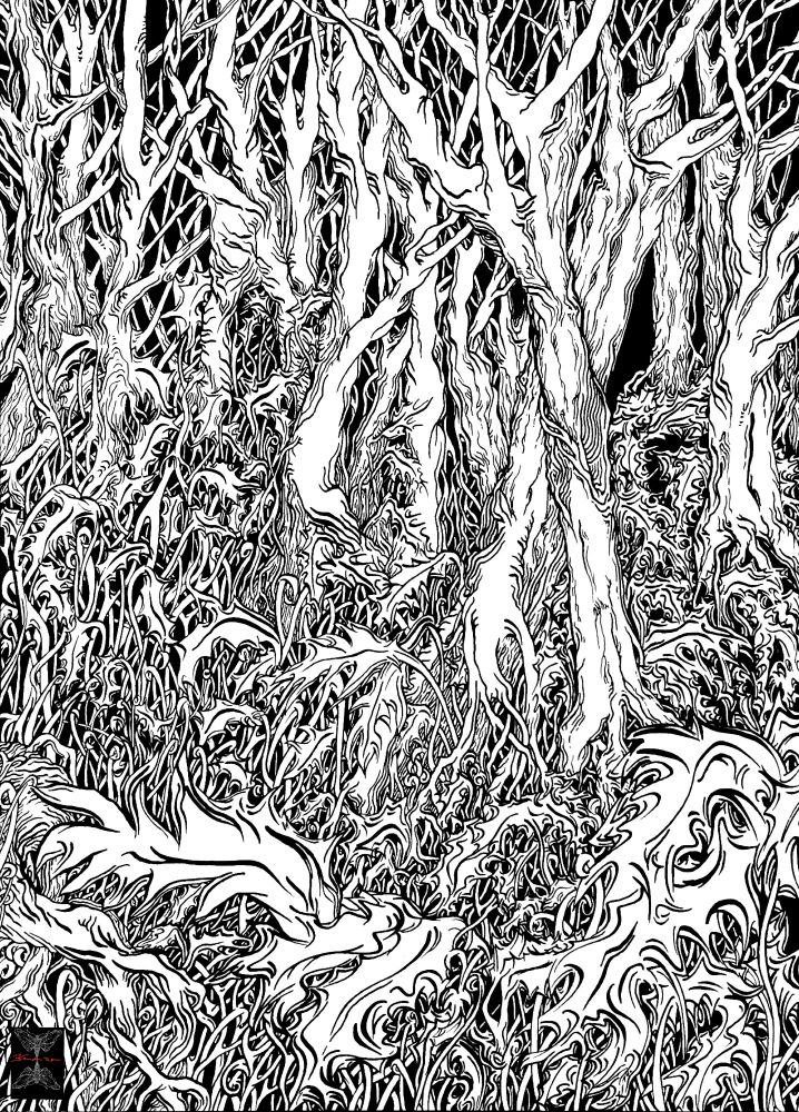 Dessin à l'encre de Chine. Forêt dense avec des arbres sans feuilles, envahie par du houx. C'est l'hiver. 