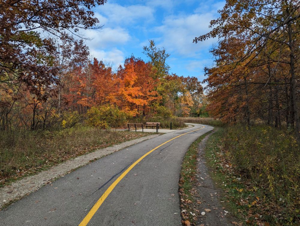 A view of the North Branch Trail in Chicago, showing fall colors