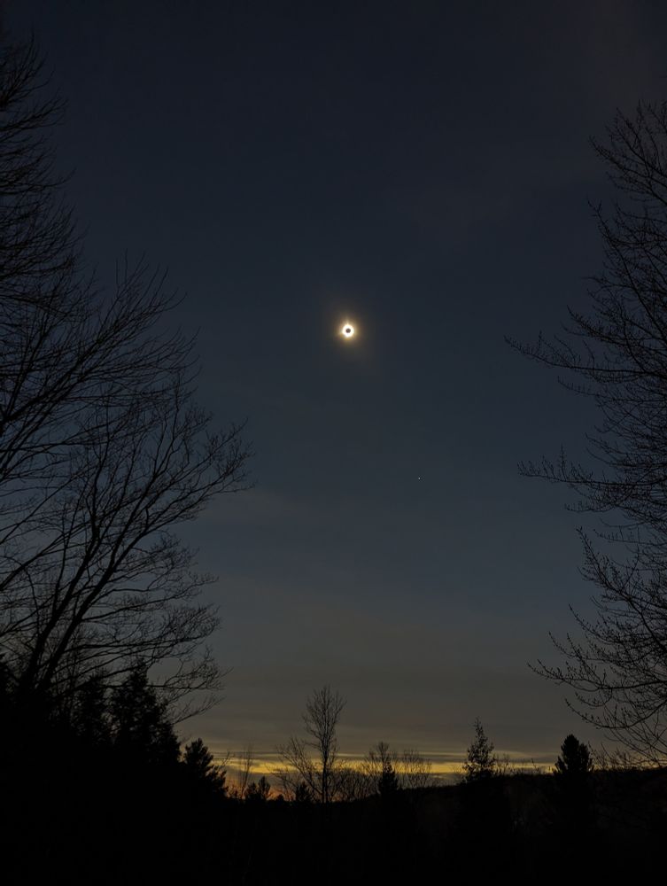 A photo of the solar eclipse. The sun's corona appears near the top, with the black circle of the moon. Below, the horizon appears as it does at dusk, behind silhouettes of trees.