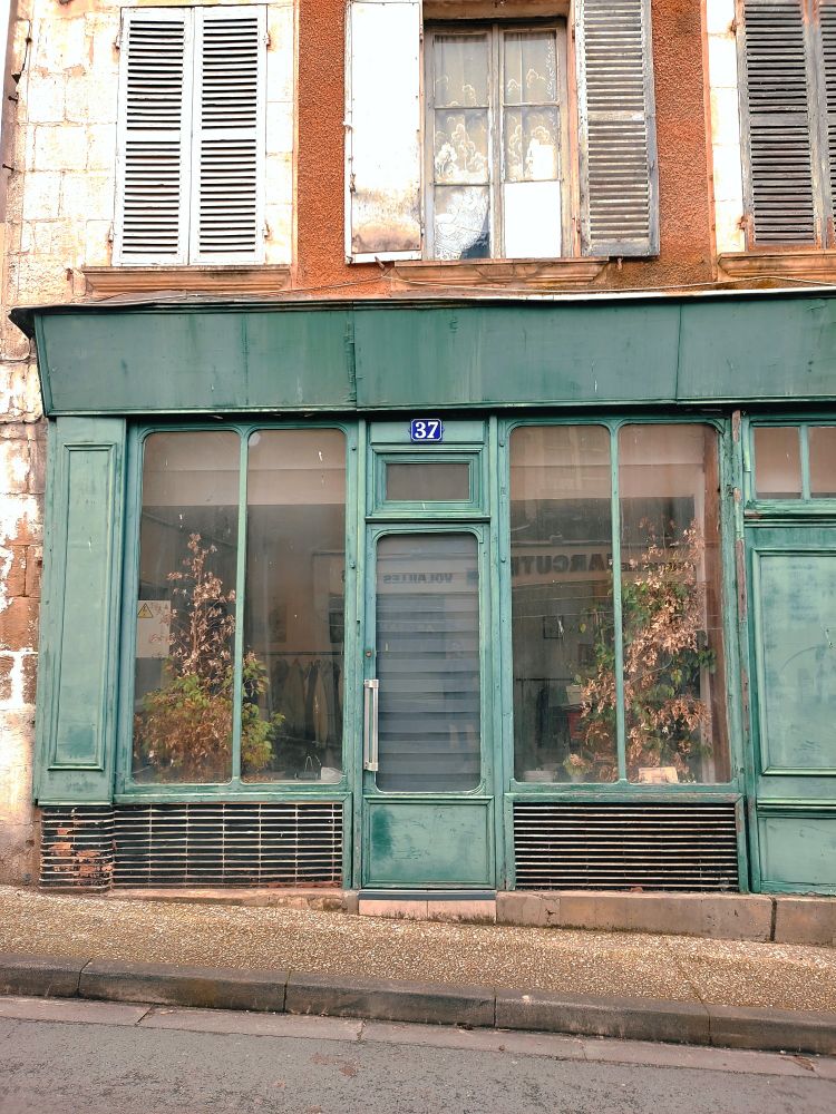 Jolie vitrine désaffectée avec boiseries turquoise, de grandes plantes vertes mourantes derrière les vitres.