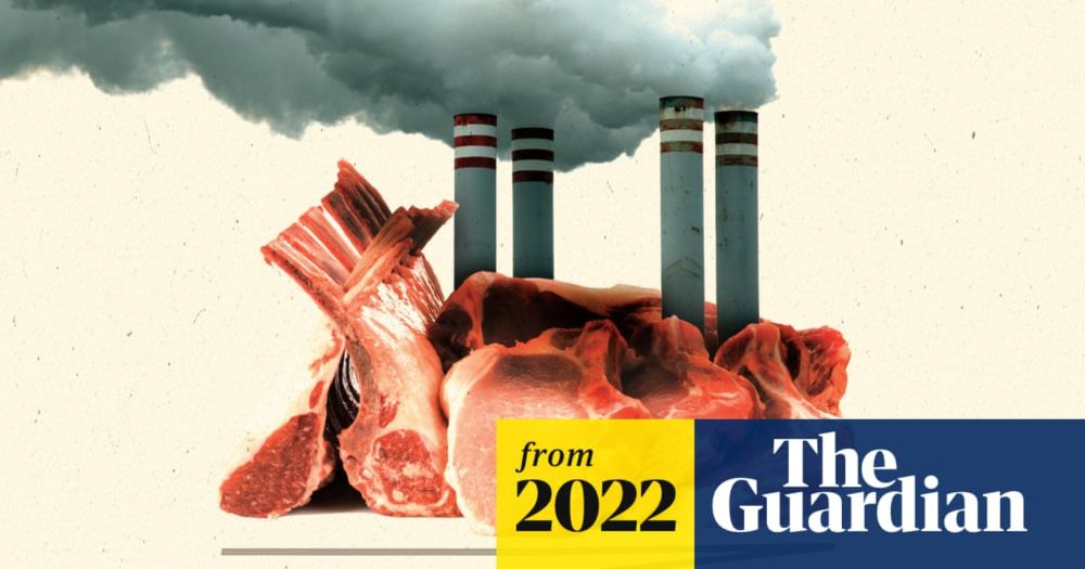 Meat, monopolies, mega farms: how the US food system fuels climate crisis