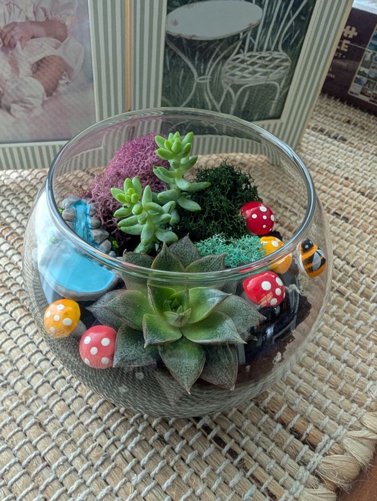 a terrarium in a small glass bowl with two succulents and little garden decorations