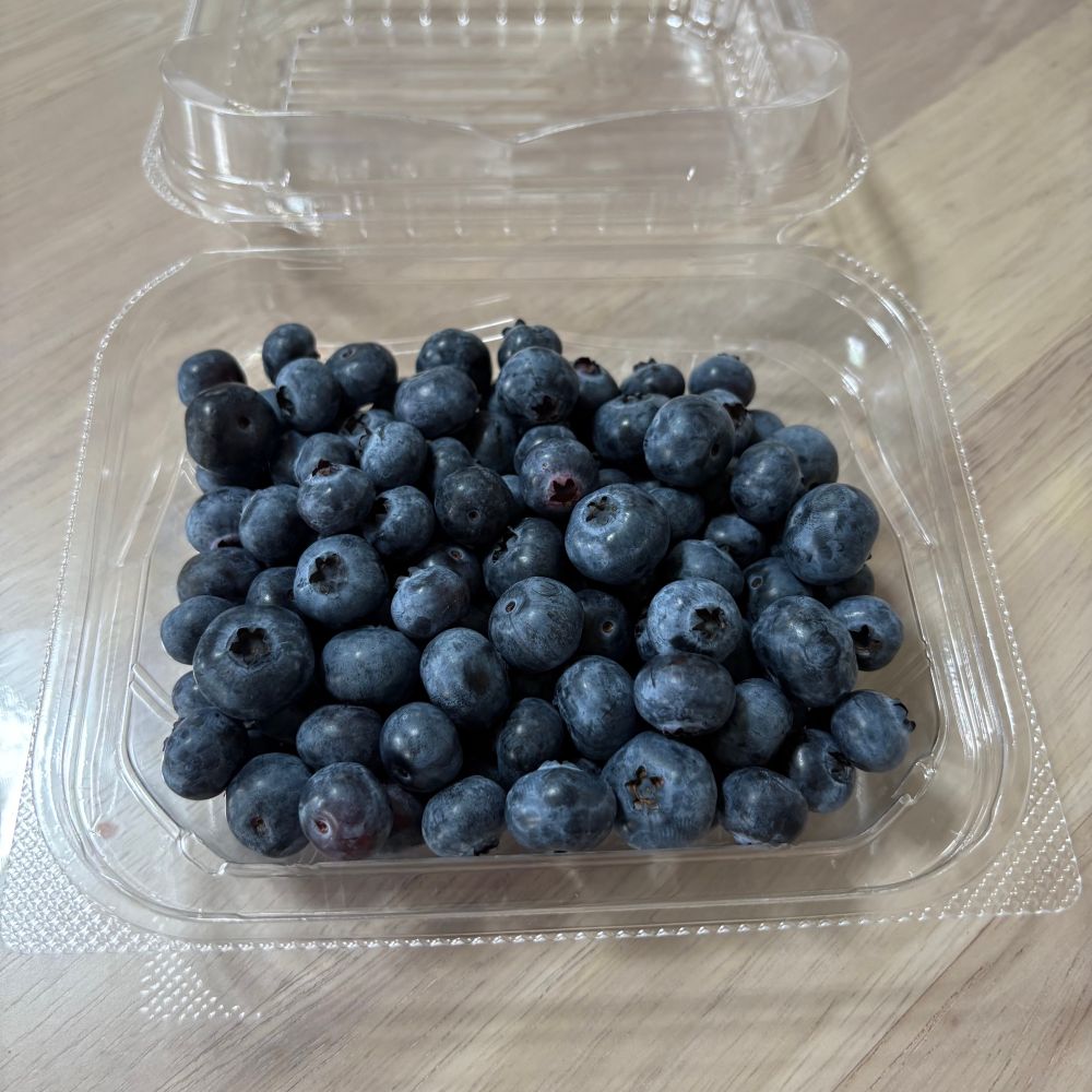 ブルーベリー。これで200gくらい。