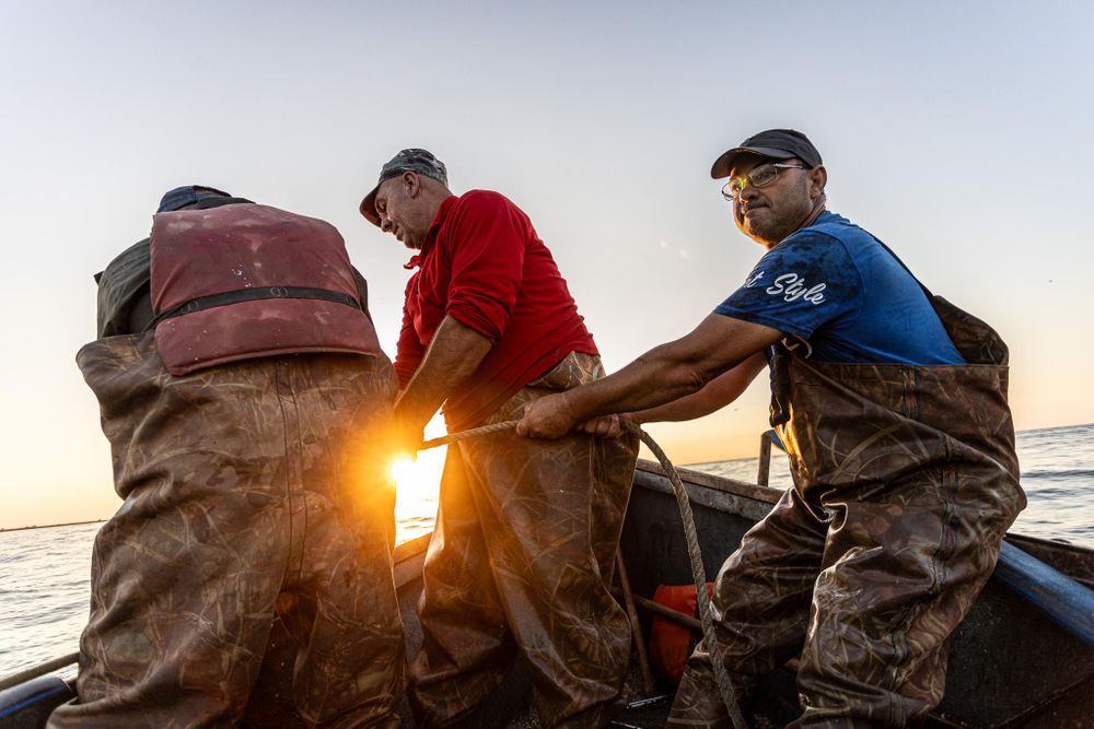 Russia's war devastates Black Sea ecosystems and communities - Euromaidan Press