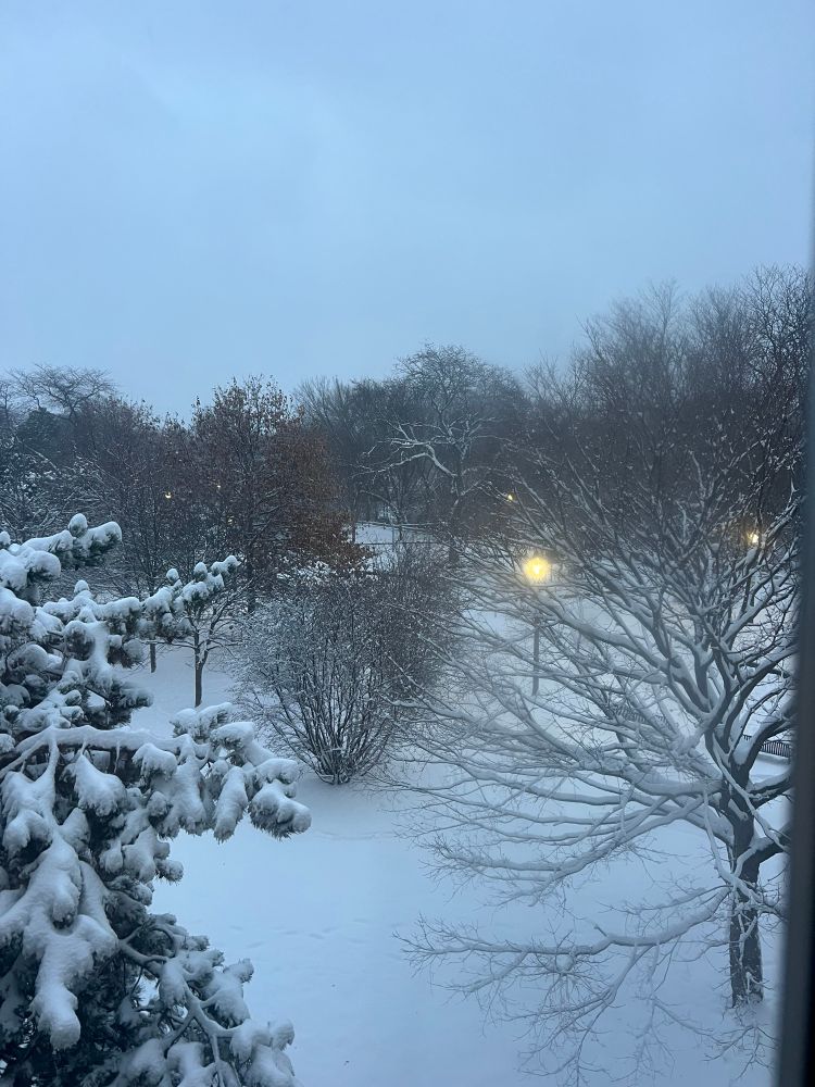 Ronan Park, as seen from my den/reading room.