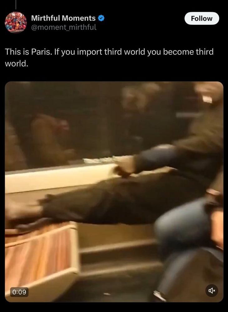tweet with attached video: “this is paris. if you import third world you become third world” 
