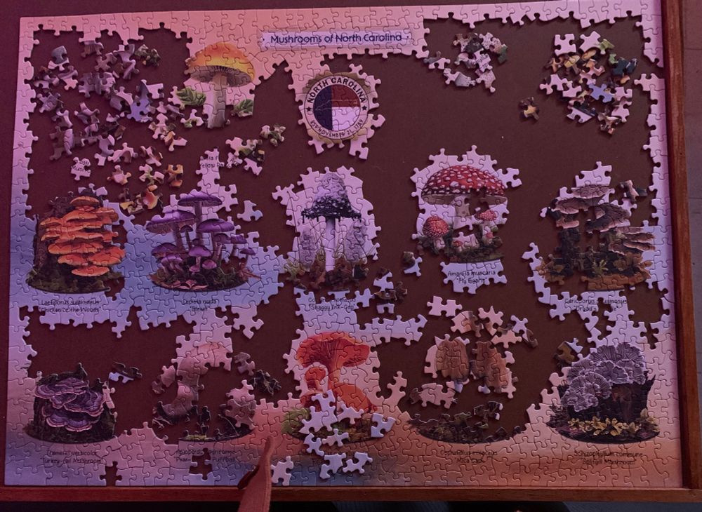 Incomplete puzzle showing different mushrooms of North Carolina 