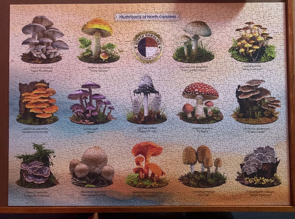Completed puzzle showing the mushrooms of North Carolina 