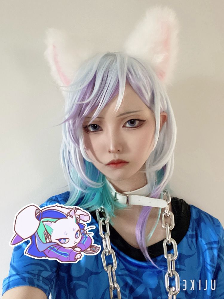 パラねこ風かなた🐾