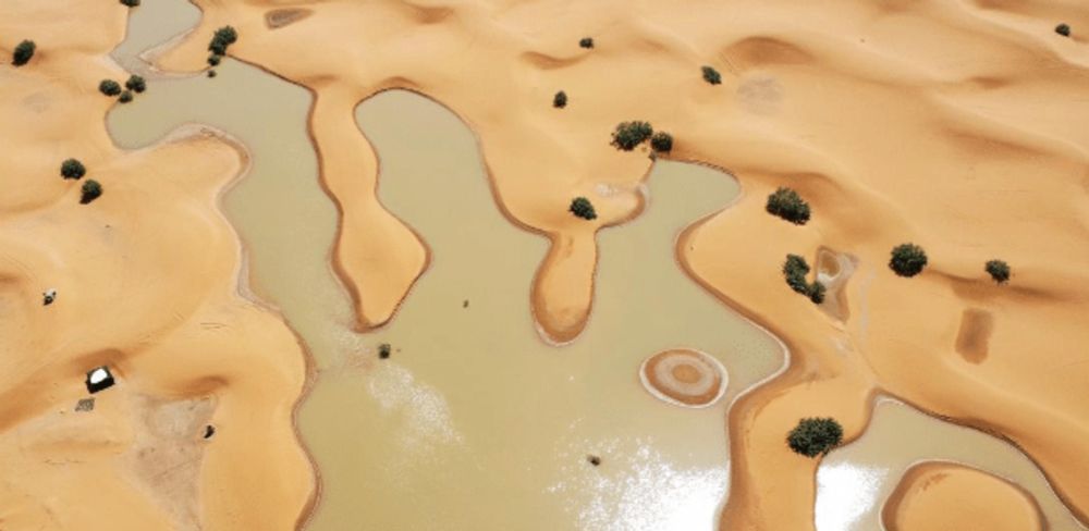 As impressionantes imagens do deserto do Saara inundado após tempestades