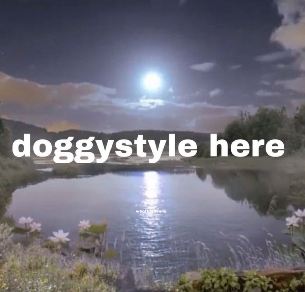 “doggystyle here”

words are over a magical looking lake with flowers at twilight