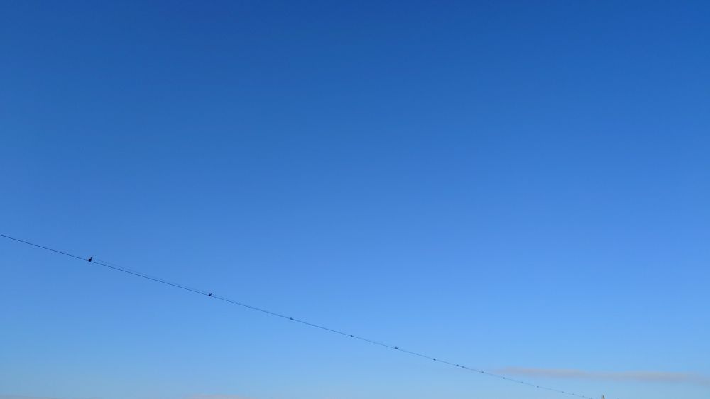 2025.02.09 08:40頃の空