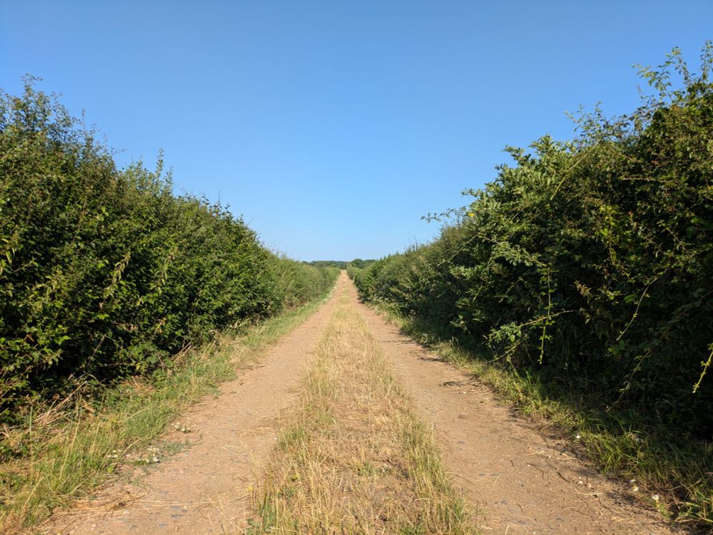 Another farm track, just for larks
