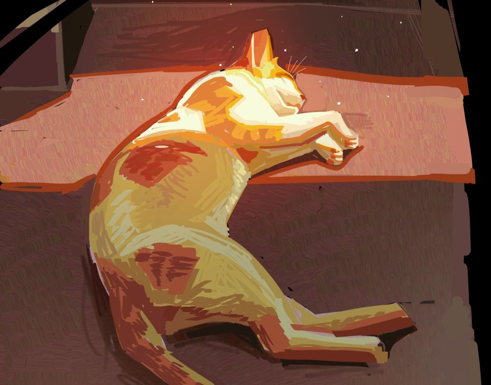 A still life study of Threee's Cat taking a nap basking in the sun