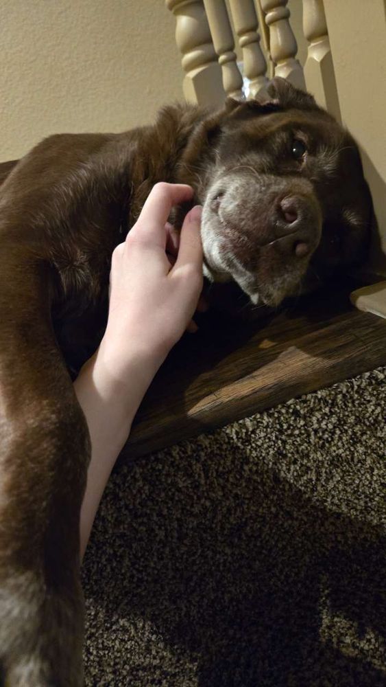 MY DOGGIE ♡
