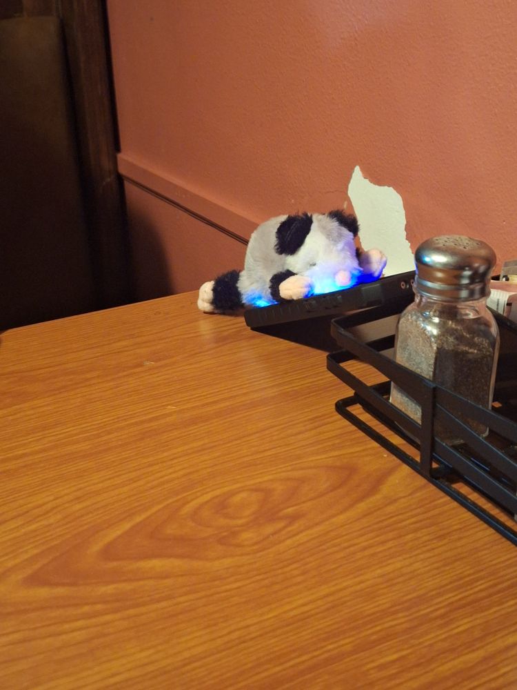 Me (stuffed opossum) playing games on my boyfriends phone while we wait for our food.