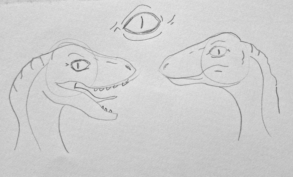 black and sketches of two velociraptor profiles - one with their mouth open and one with their mouth closed 