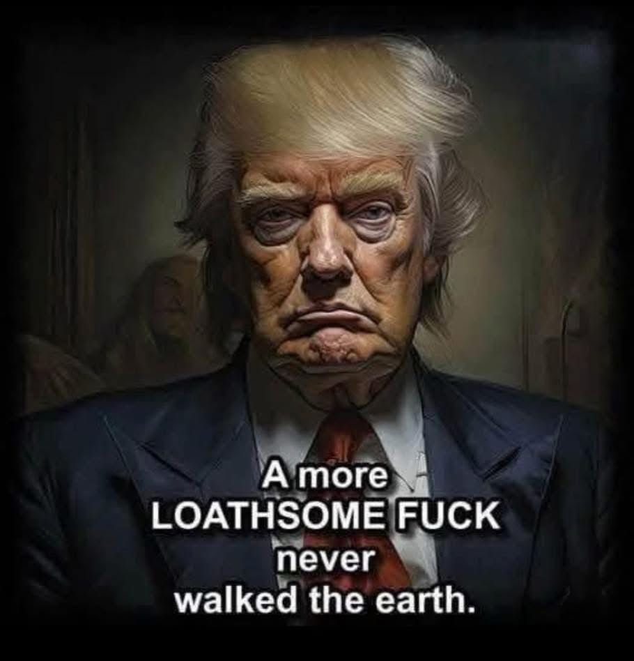 Trump called America fat and disgusting. Talk about the pot calling the kettle black. A more loathsome fuck never walked the earth. 