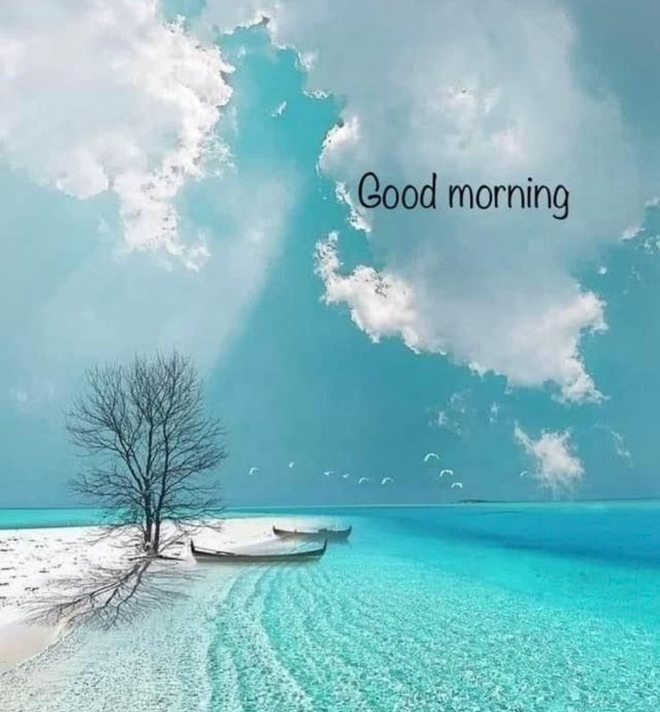 Comment image