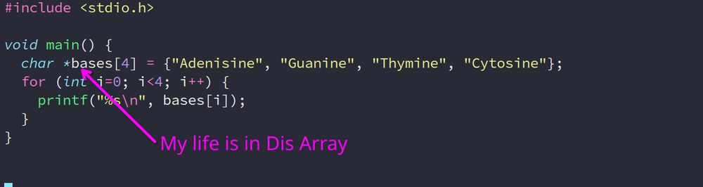 C program with the array:

char *bases[4] = {"Adenisine", "Guanine", "Thymine", "Cytosine"};

And the caption "My life is in dis array."

