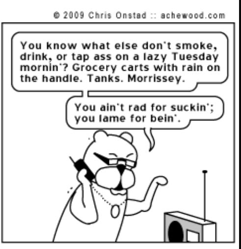 Panel from the Achewood web comic. Ray Smuckles, a chubby cat in Royal Tenenbaum glasses, is on the phone. Ray says You know what else don't smoke, drink, or tap ass on a lazy Tuesday mornin'? Grocery carts with rain on the handle. Tanks. Morrissey. You ain't rad for suckin'; you're lame for bein'. 