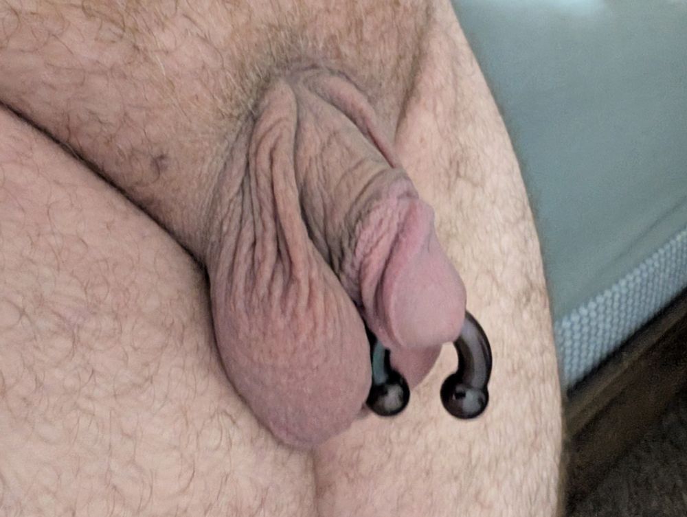 Flaccid dick with a huge black horseshoe ring pierced through the tip