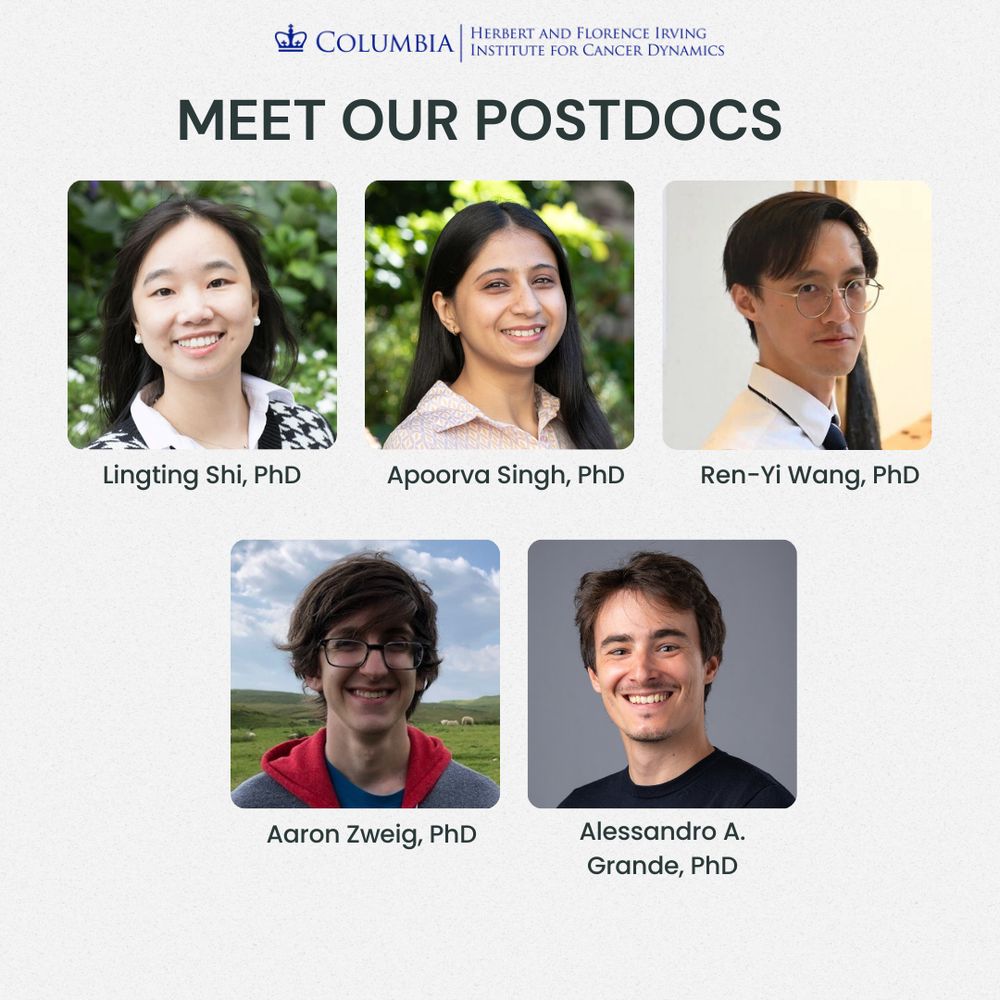 Photo collage of IICD postdocs