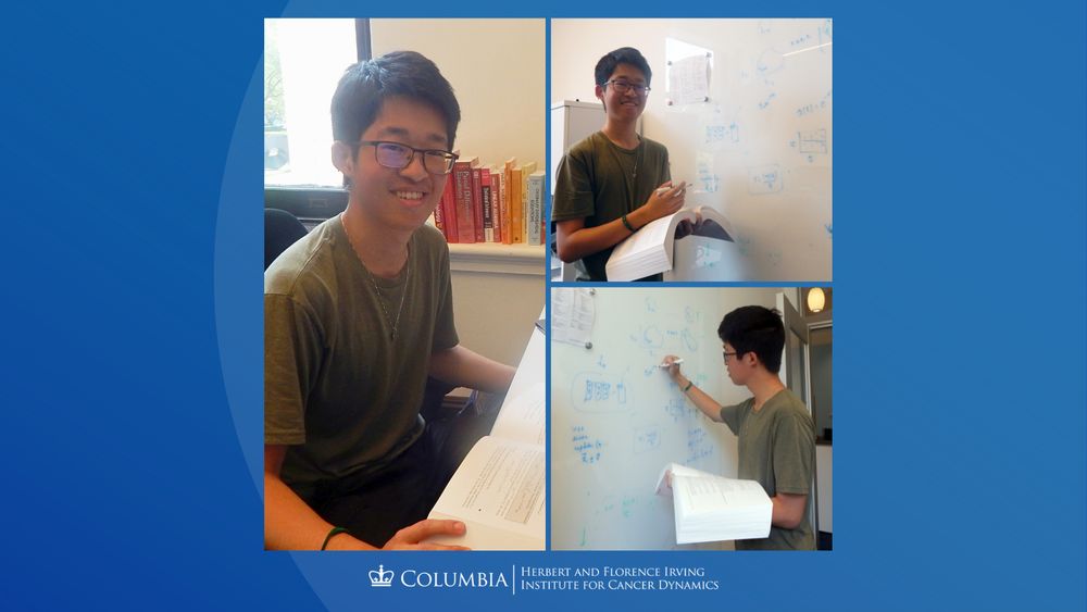 Collage of Alan Jiang. Left: Alan seated at a desk while holding an open textbook. Top right: Alan standing at a whiteboard. Bottom right: Alan writing detailed equations on a whiteboard.